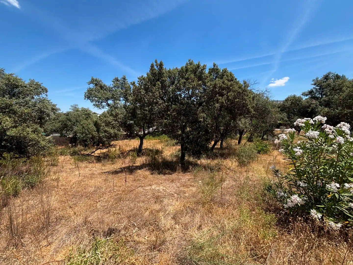 Residential land for sale in Paseo del Perú, imagen 12