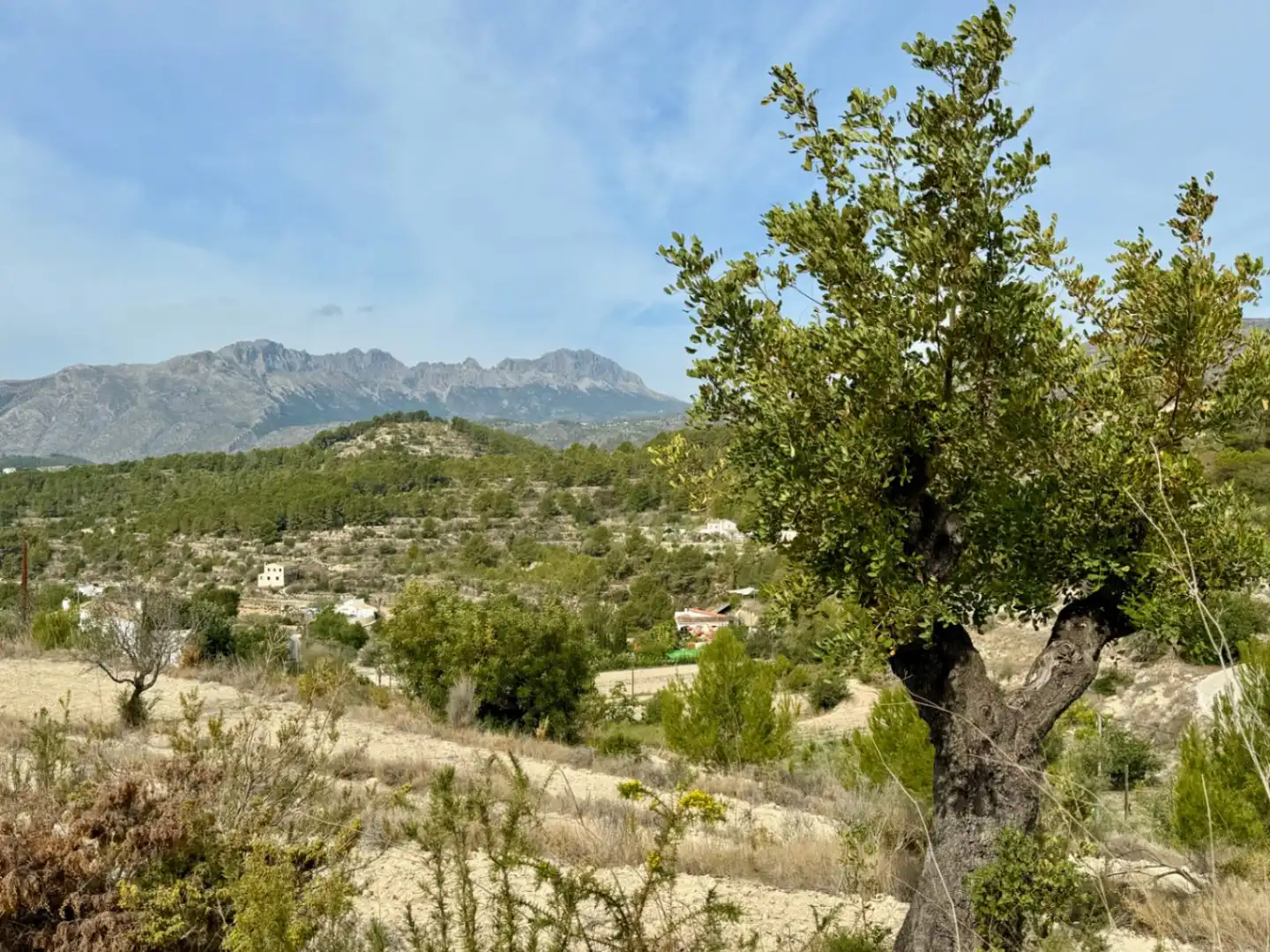Terrenos y solares en venta en Benissa pueblo, imagen 2