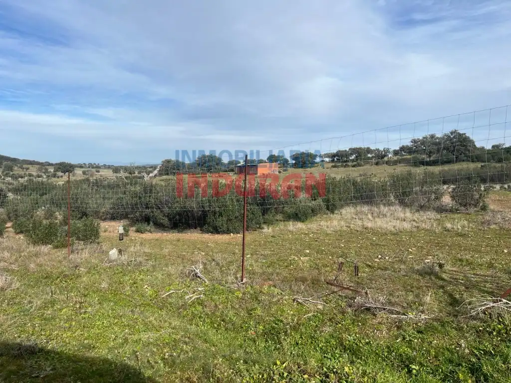 Finca rústica en venda en Puerto de San Vicente