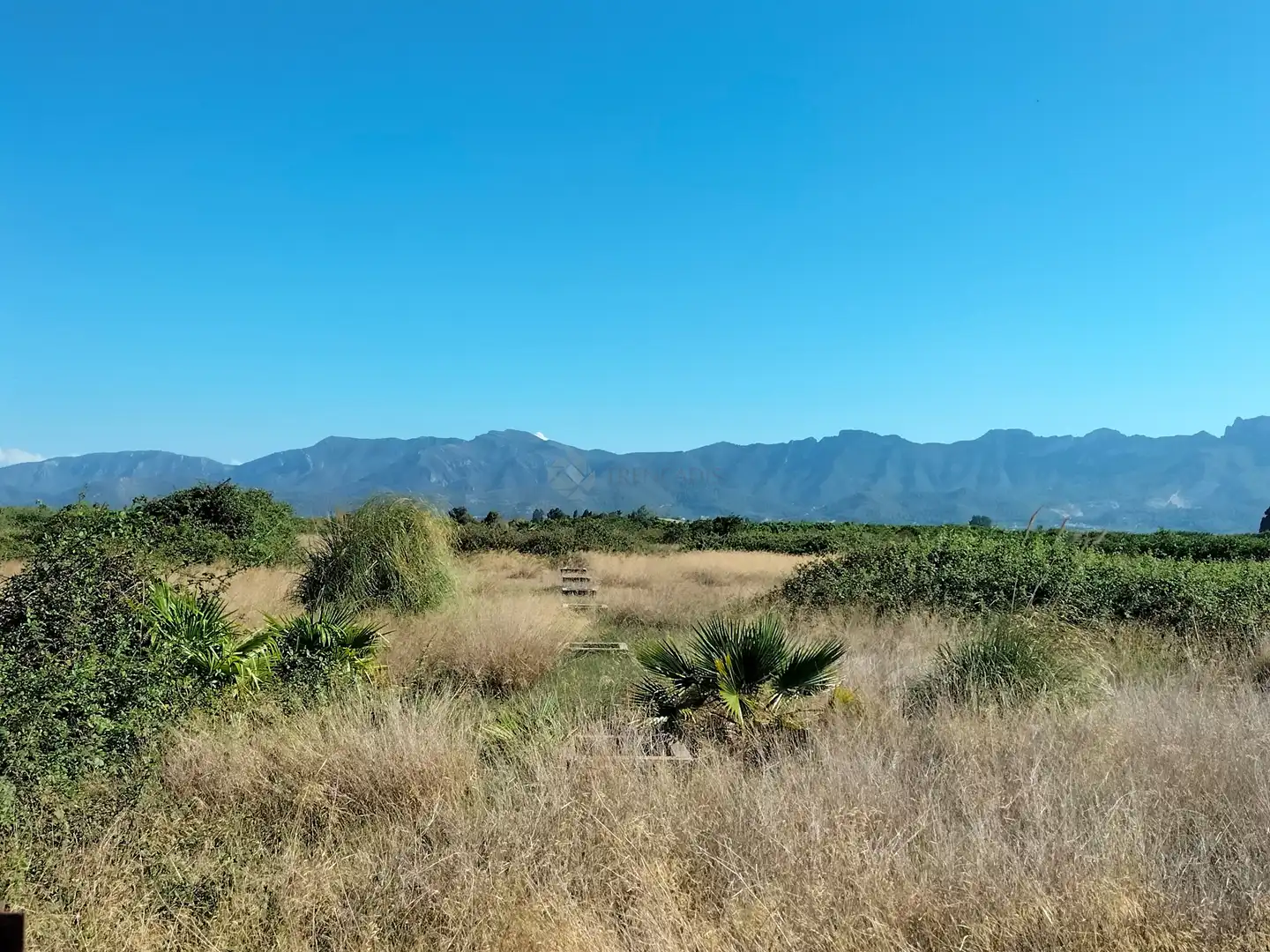 Lands and plots for sale in pol  parcela, imagen 5