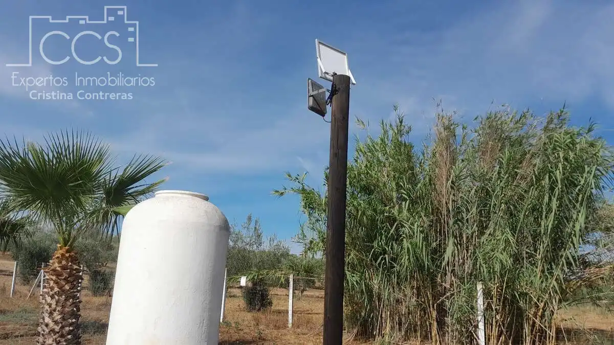 Casa rústica amb jardí en venda a Almonte ciudad, imagen 19