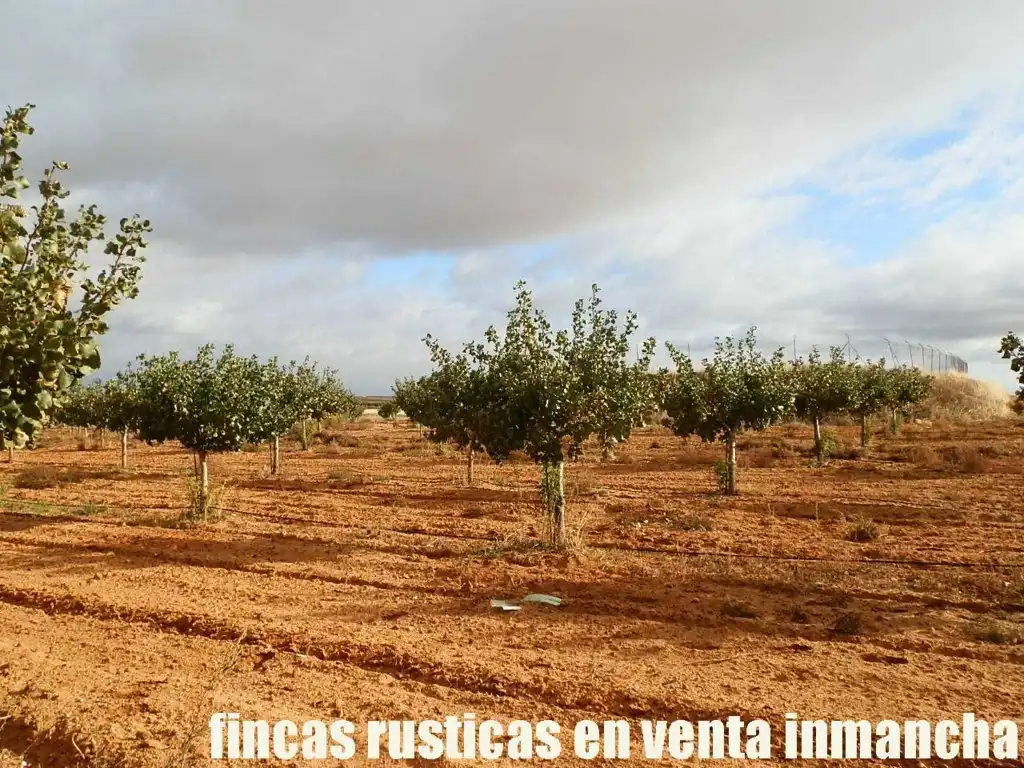 Terreni e lotti in vendita a Las Mesas, imagen 14