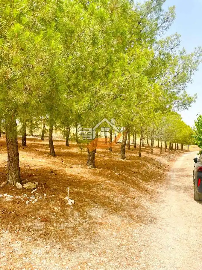 Finca rústica en venda en Vélez-Blanco amb Balcó