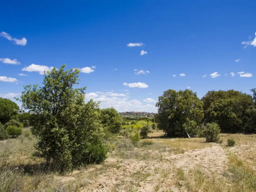Finca rústica en venda en Navalcarnero