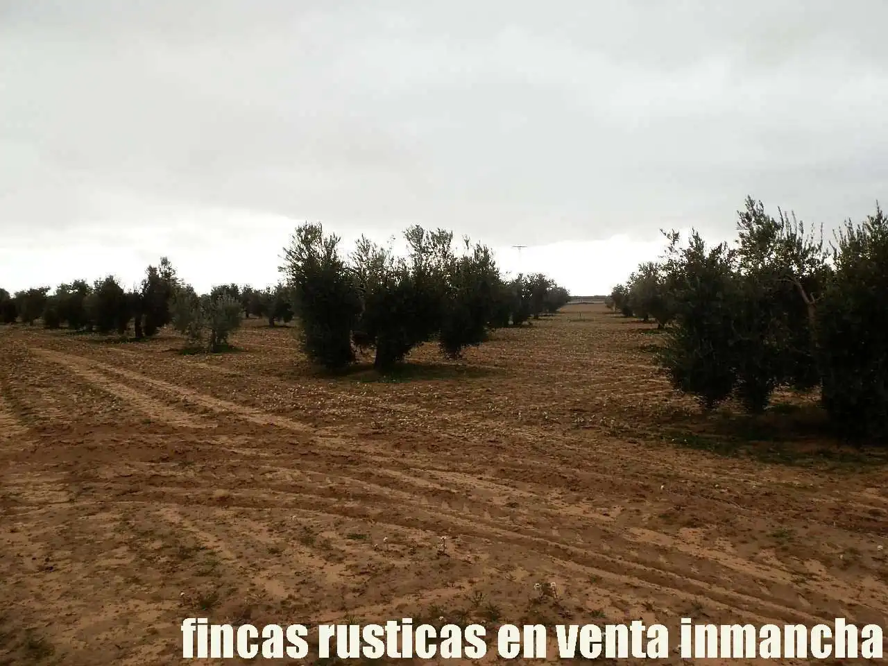 Terreno rustico in vendita a Campo de Criptana, imagen 19
