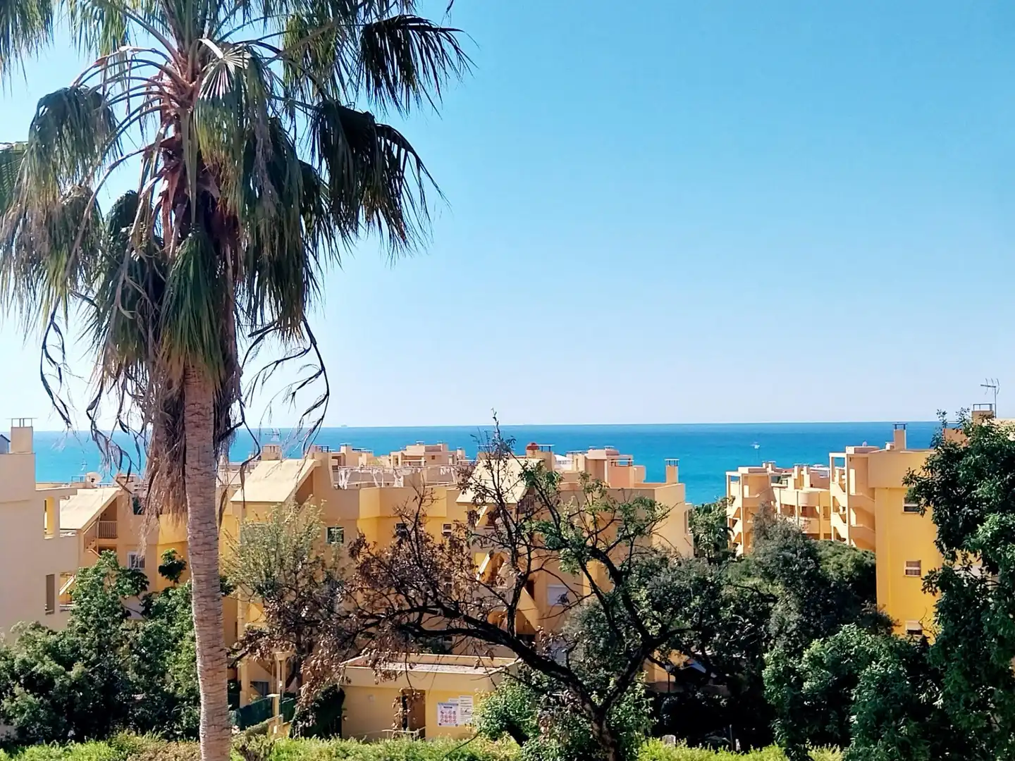 Vista exterior de Àtic en venda en Mijas amb Aire condicionat, Calefacció i Jardí privat