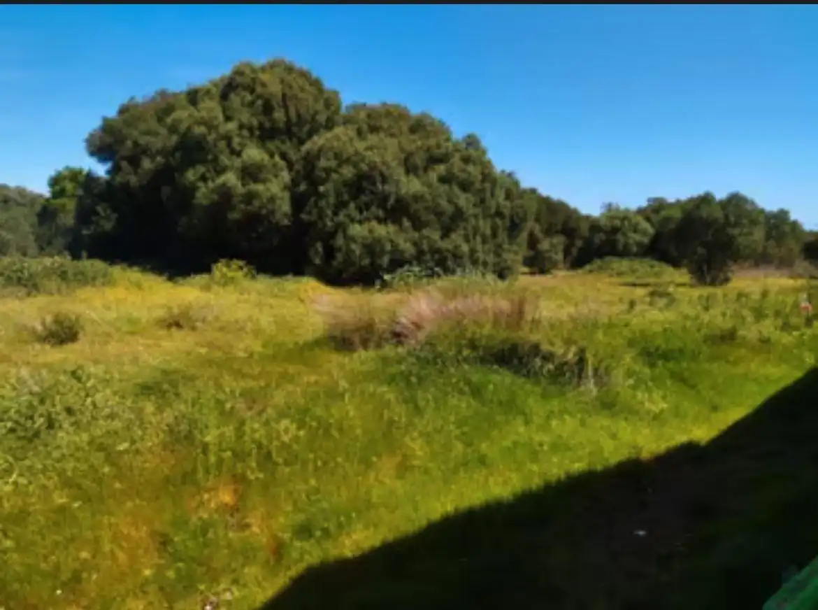 Finca rústica en venda en Barbate