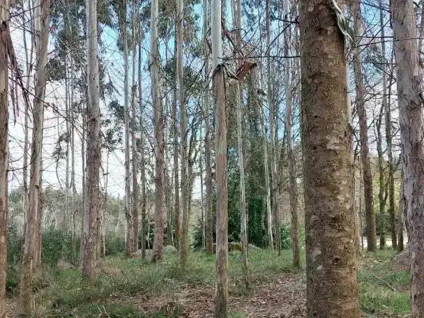 Vista exterior de Finca rústica en venda en Vilasantar amb Aire condicionat