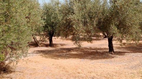 Foto 3 de Residencial en venda a Cahicena, 10, Priego de Córdoba, Córdoba