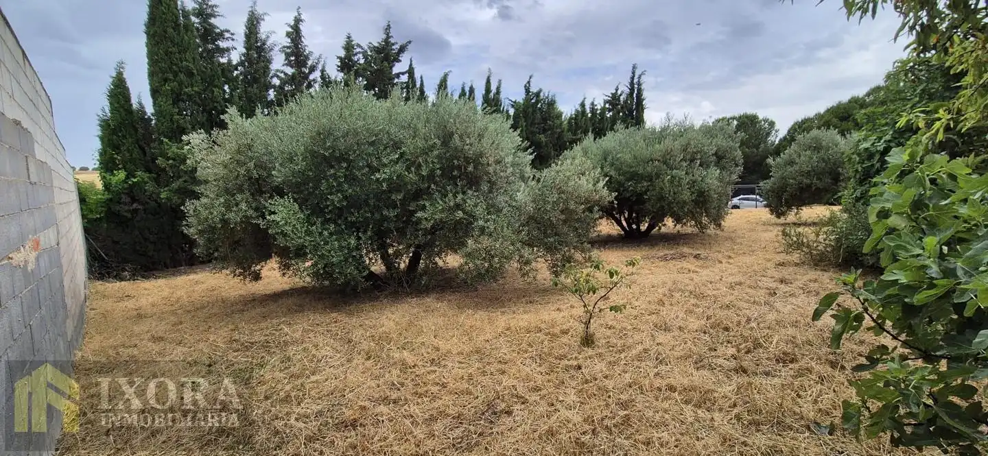 Terreni e lotti in vendita a Úbeda, imagen 5