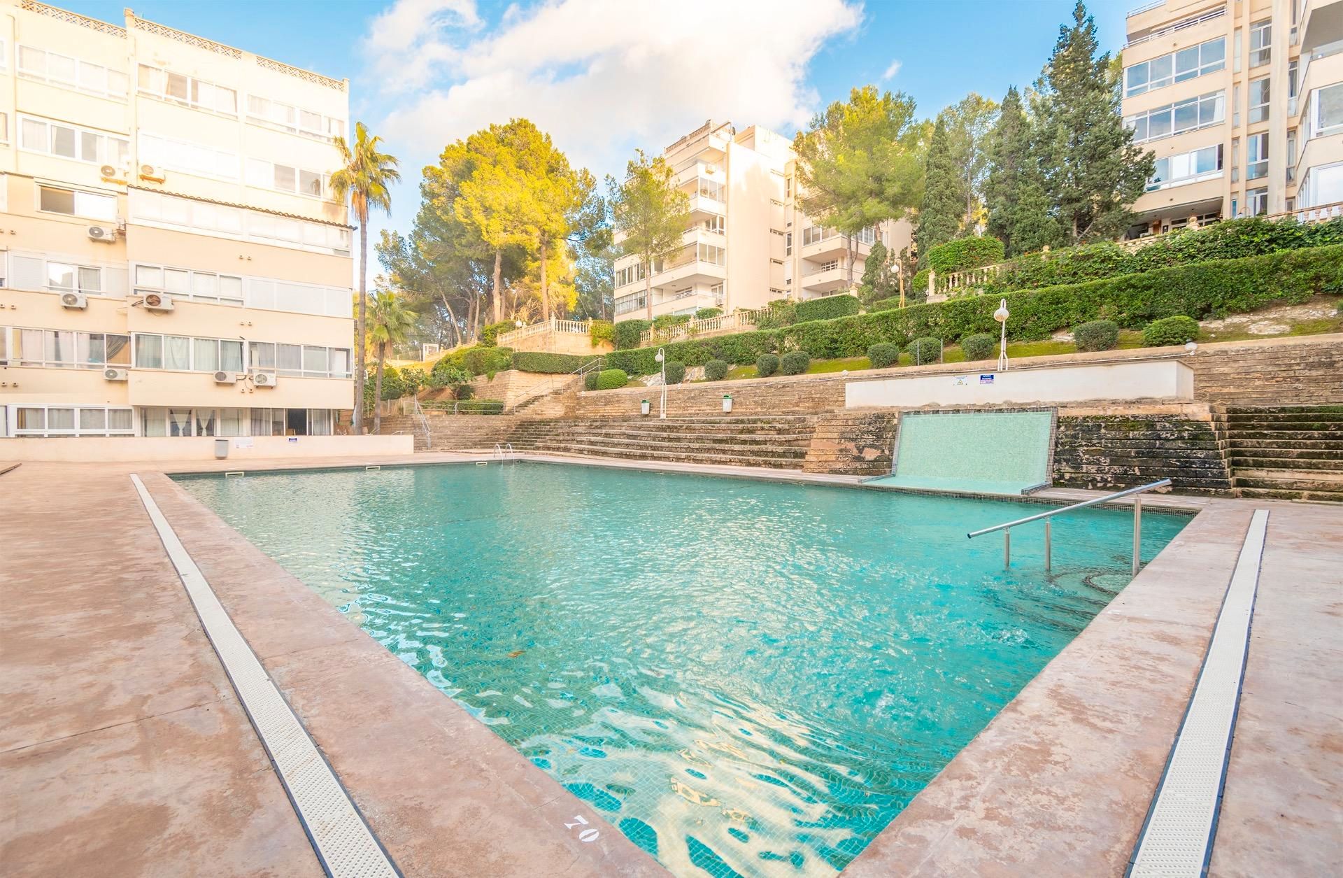 Swimming pool of Study for sale in Calvià