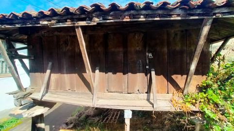 HÓRREO CON PEQUEÑA HUERTA EN VENTA EN PRAVIA, ASTURIAS, imatge 3