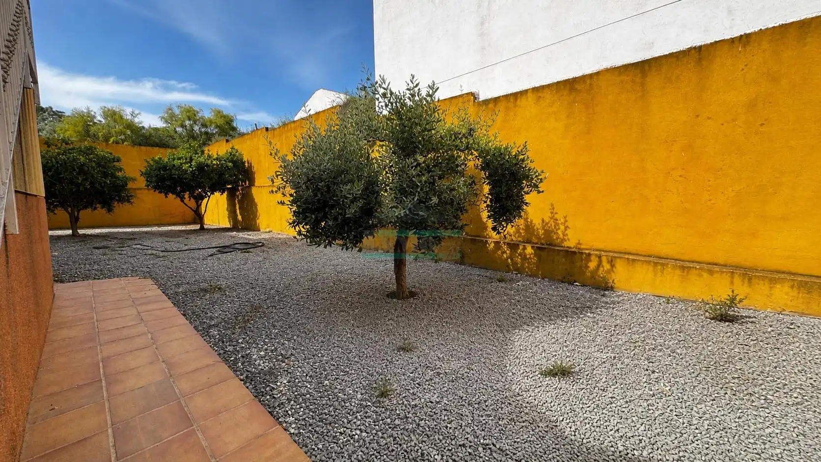 Jardín de Casa o chalet en venta en Láchar con Jardín privado, Terraza y Piscina