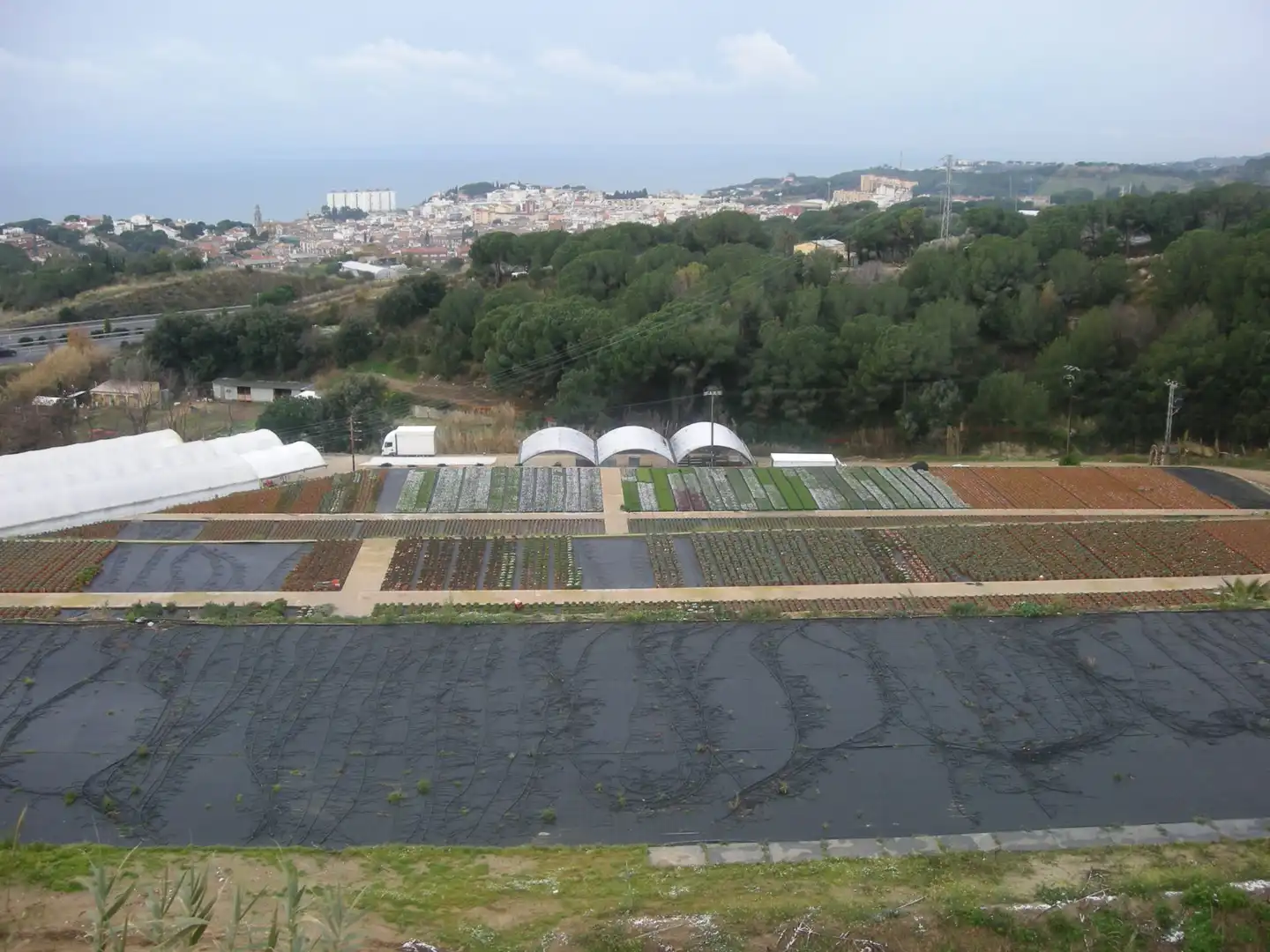 Terreno rústico en venta en Sant Cebrià de Vallalta, imagen 2