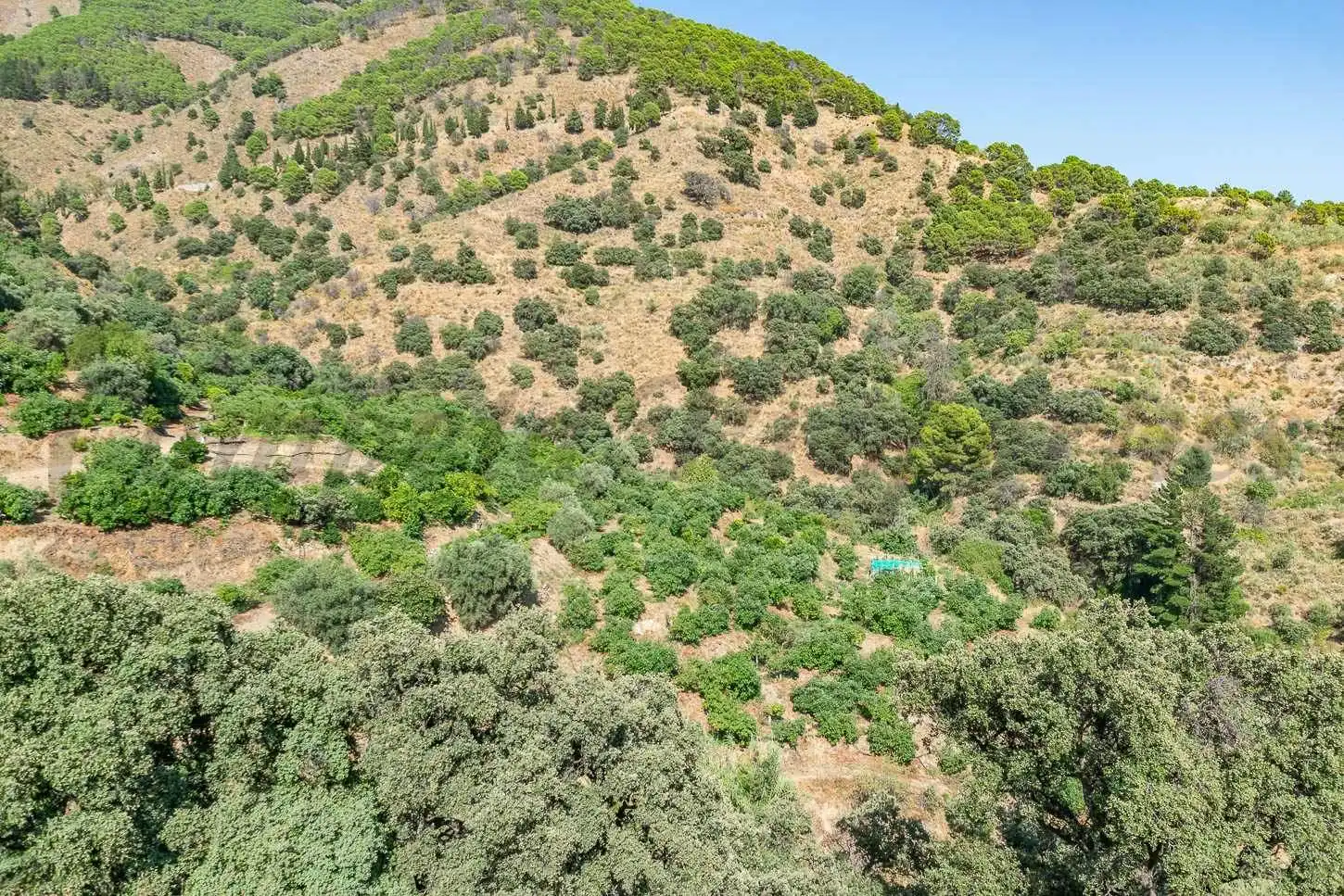 Terreno rustico in vendita a Salares, imagen 5
