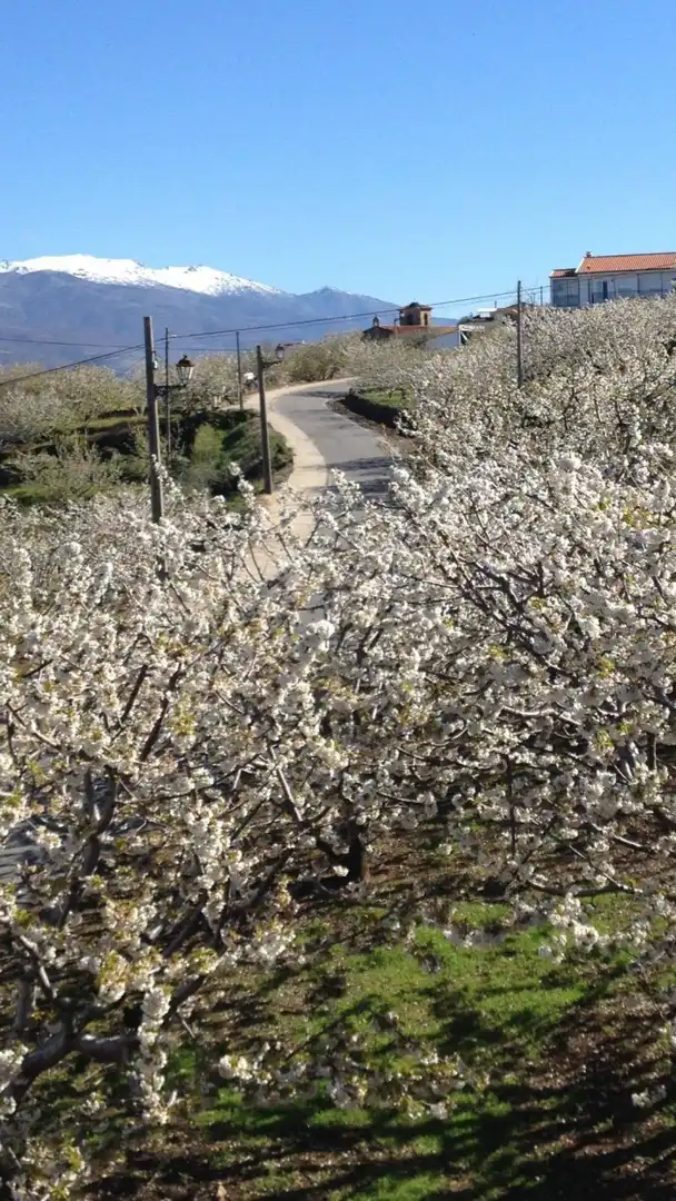 Vista exterior de Casa o xalet en venda en Valdastillas amb Aire condicionat, Calefacció i Terrassa