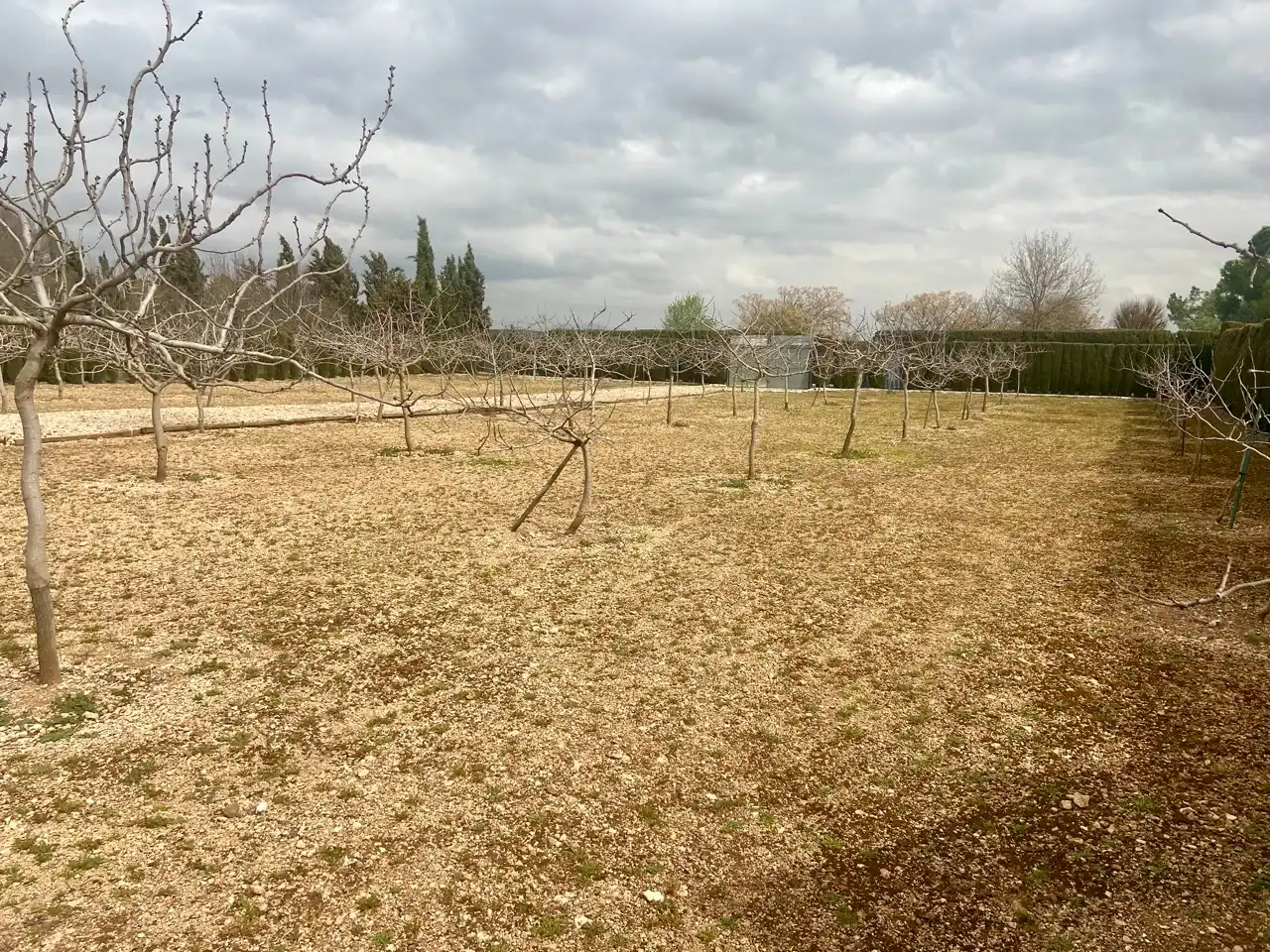 Casa o xalet en venda en Ciudad Real amb Calefacció, Jardí privat i Traster