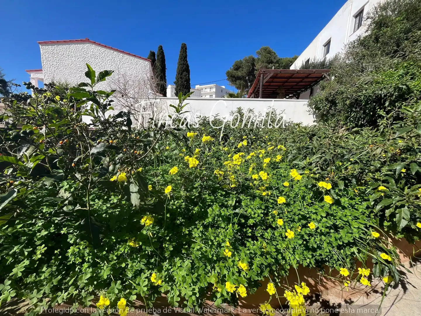 Jardín de Casa o chalet en venta en Alaior con Jardín privado