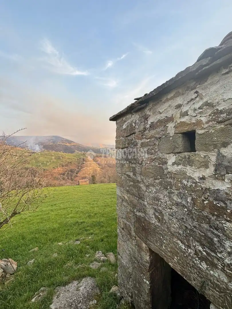 Finca rústica en venta en Selaya