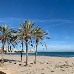 Vista exterior de Apartamento en venta en El Campello con Terraza y Trastero