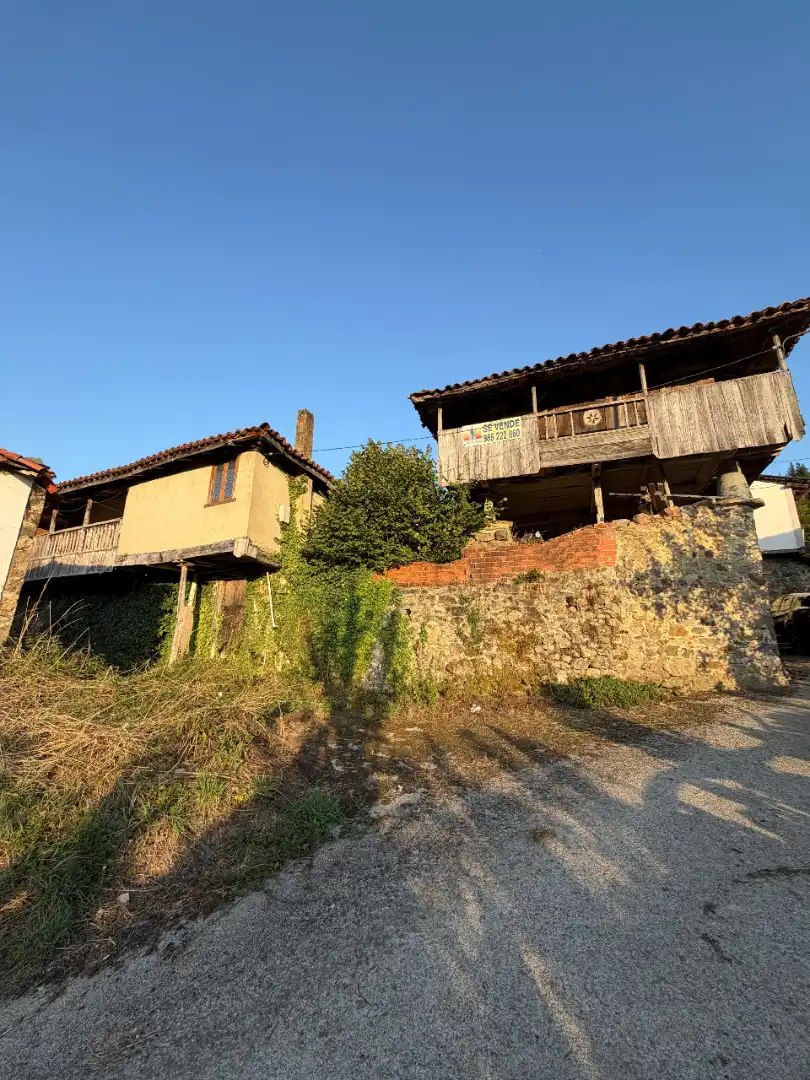 Rural land for sale in Tineo, imagen 8