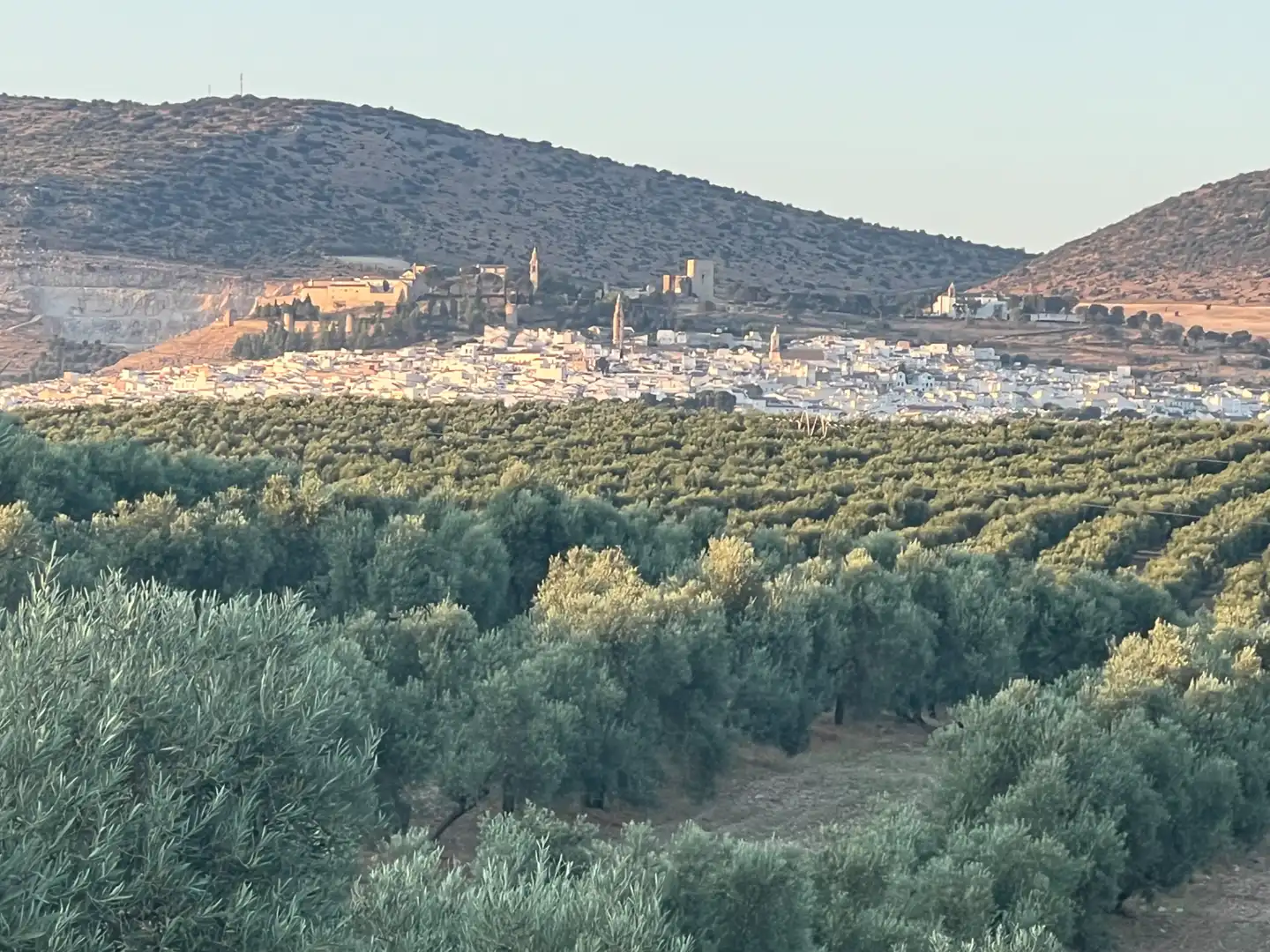 Terrenys i solars en venda a N/A