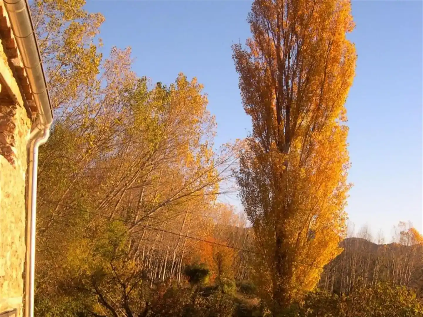 Vista exterior de Finca rústica en venda en Yeste amb Jardí privat, Traster i Piscina