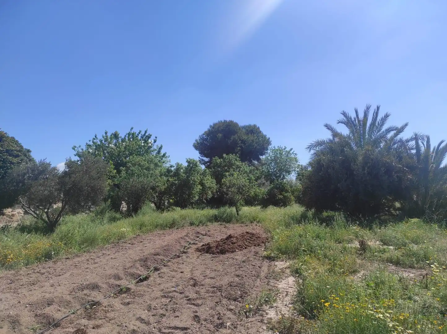 Terreno rustico in vendita a La Huerta, imagen 30