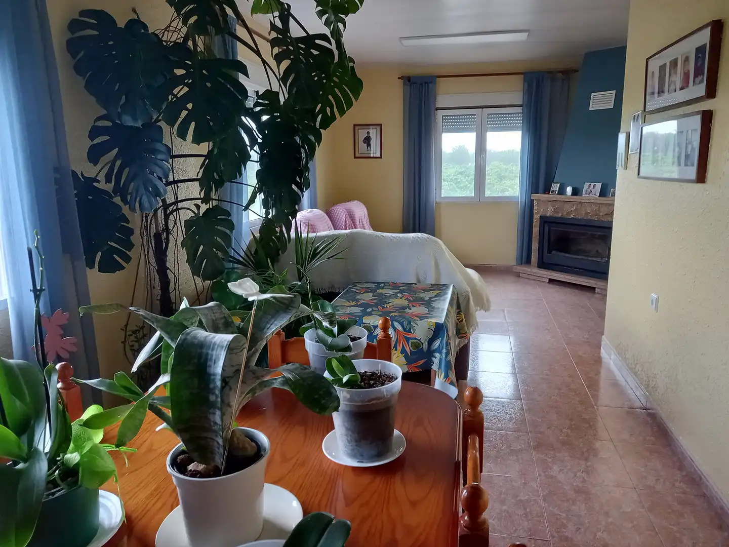 Casa amb jardí en venda a Partidas de interior - Zona Rústica, imagen 3