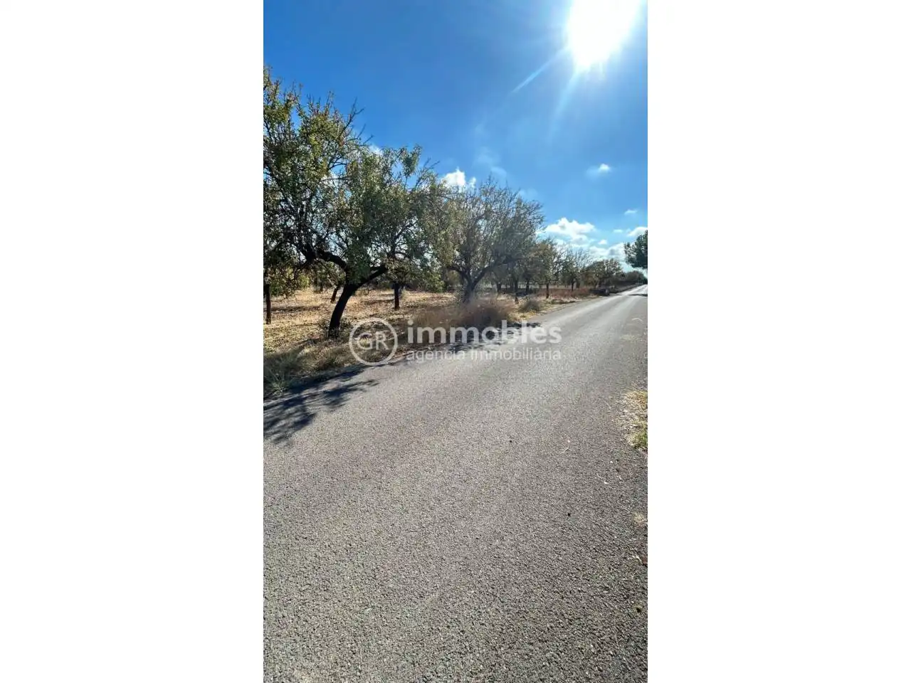 Terreno rustico in vendita a Poligono 14, imagen 6