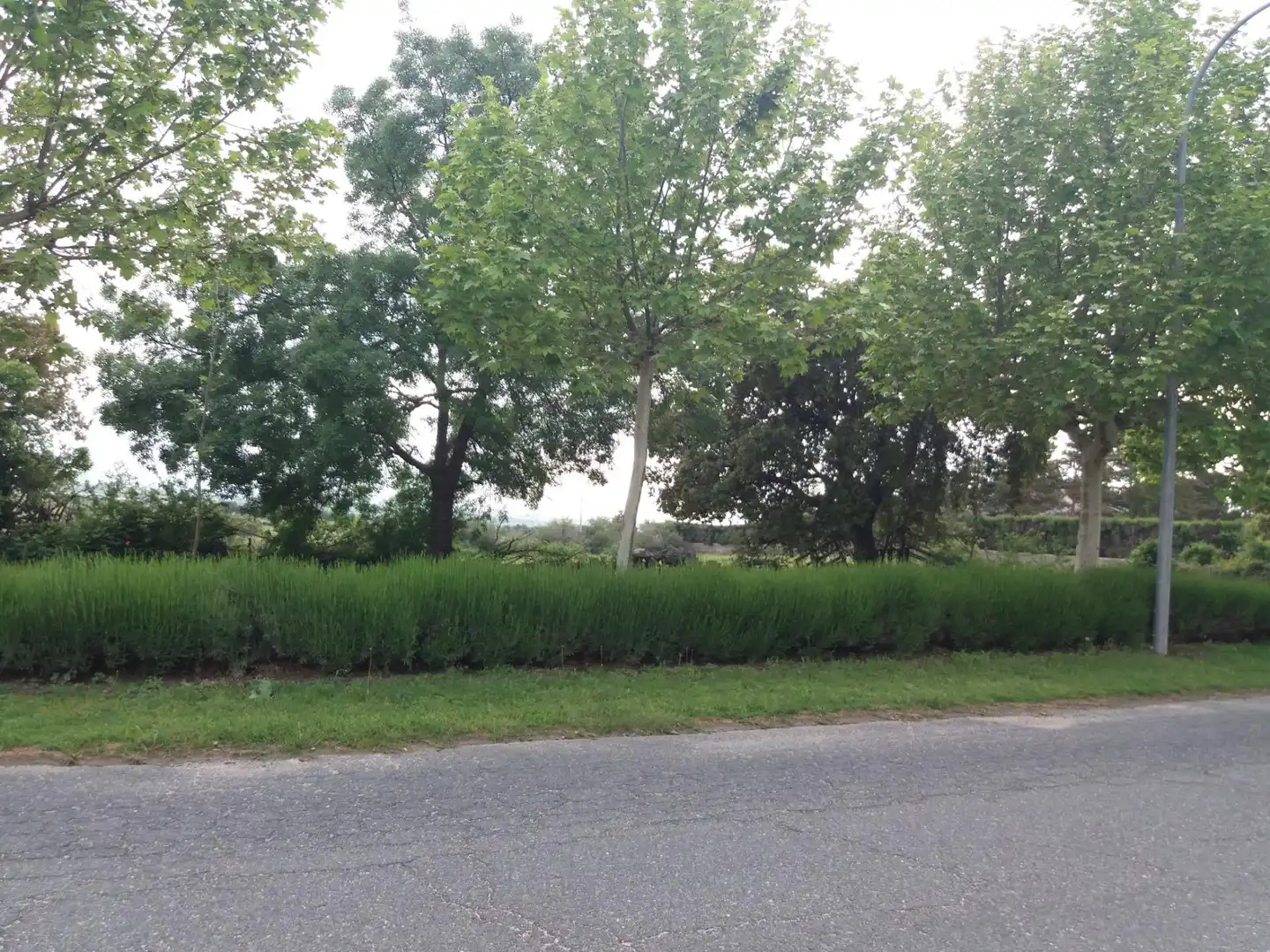 Terreny residencial en venda a Calle Huertas 15, imagen 4