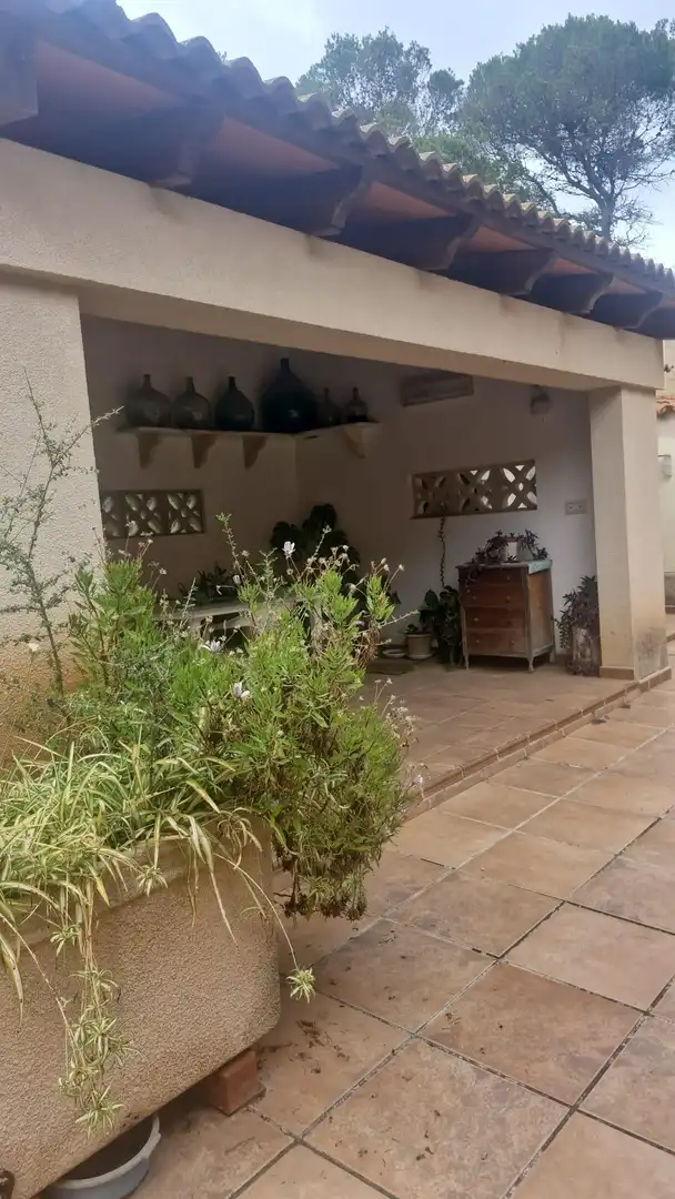 Jardí de Casa o xalet en venda en Llucmajor amb Jardí privat, Terrassa i Moblat