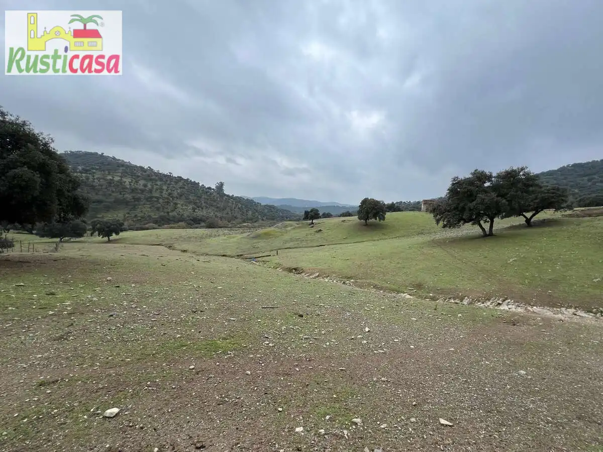 Terreni e lotti in vendita a Almadanejos, imagen 5