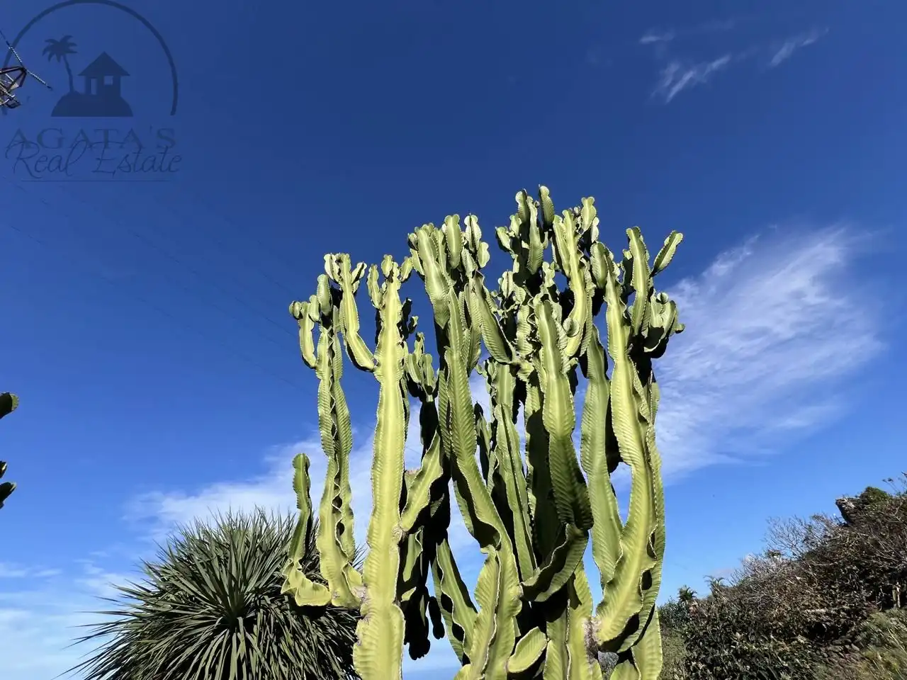 Garden of Country homes for sale in Garachico  with Private garden and Terrace