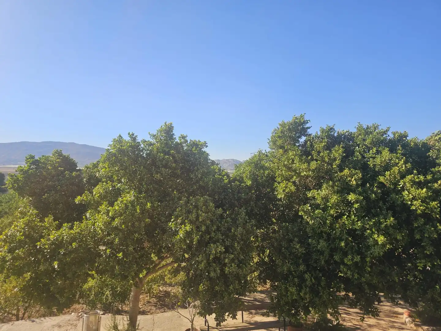 Maison rustique à vendre à Sierra de Carrascoy, imagen 18