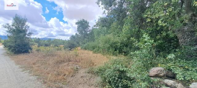 Terreno en Venta en Sotosalbos