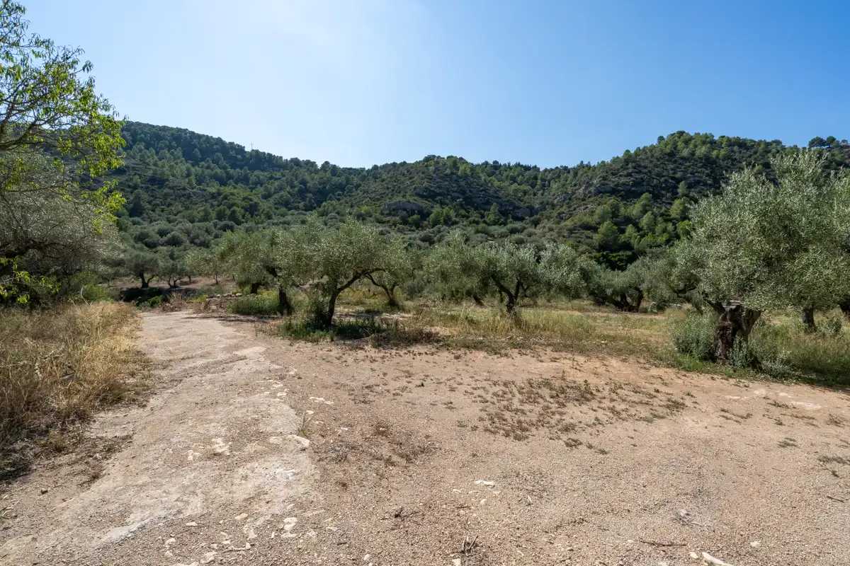 Finca rústica en venda en Tortosa amb Terrassa