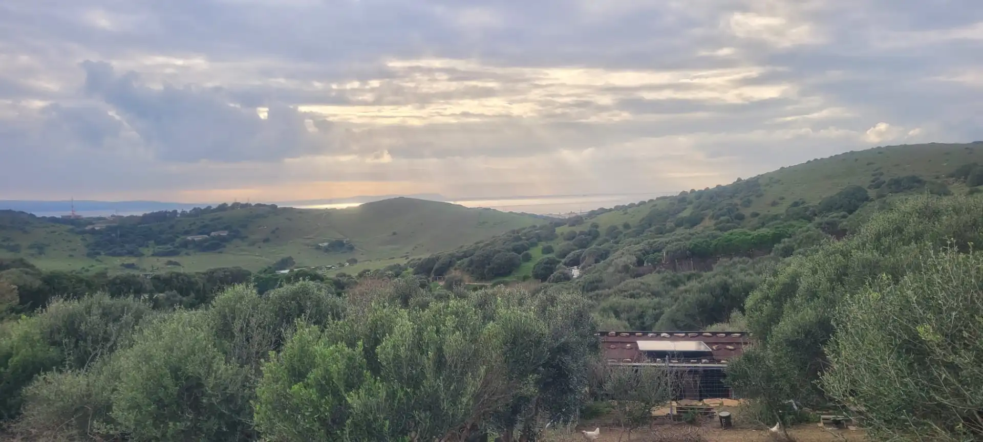 Terreni e lotti in vendita a Cañada de Matatoros 2, imagen 38