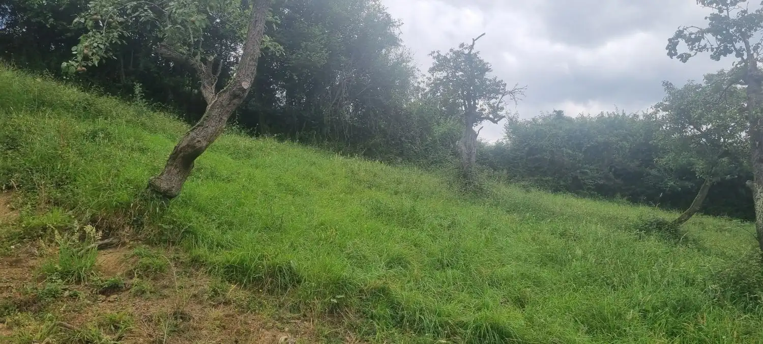Casa o xalet en venda en Oviedo  amb Terrassa i Balcó