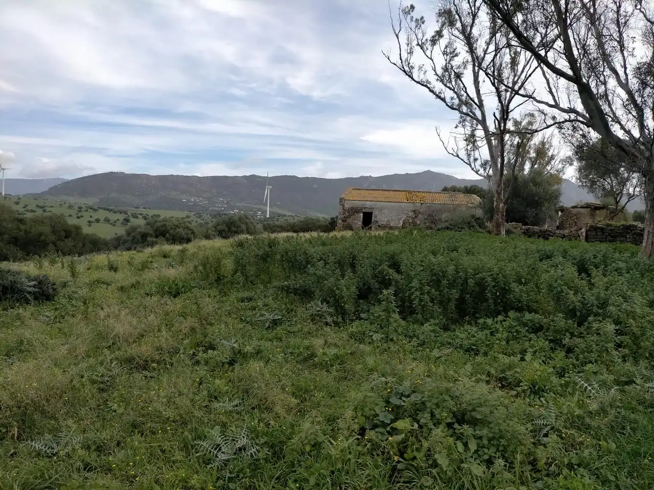 Residential for sale in Ubrique