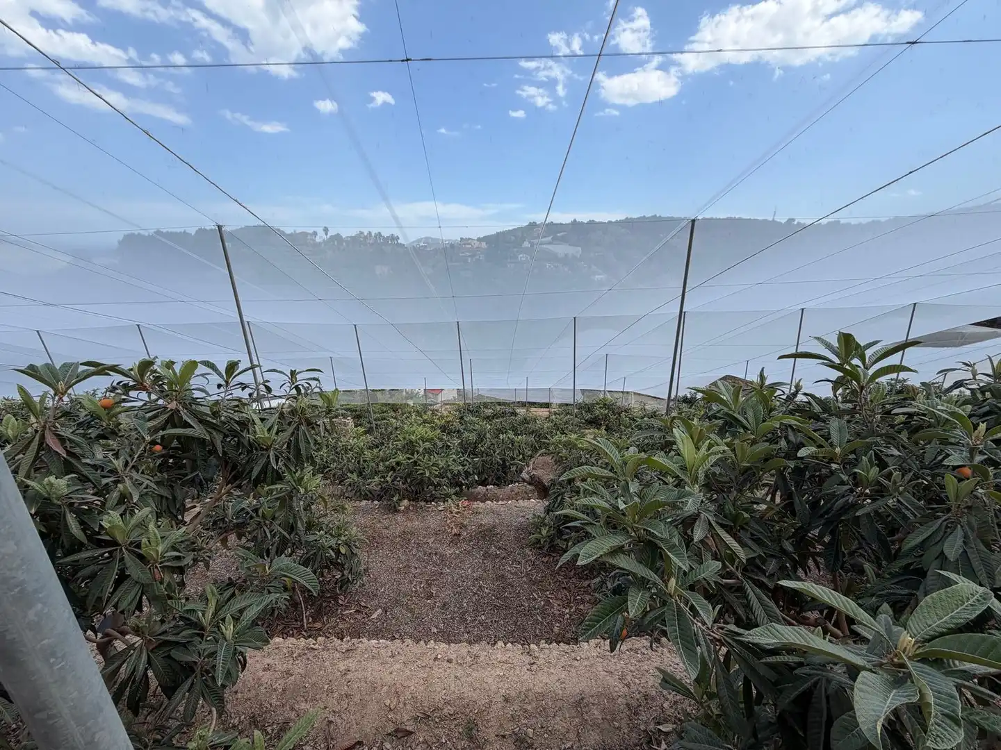 Jardín de Finca rústica en venta en Polop