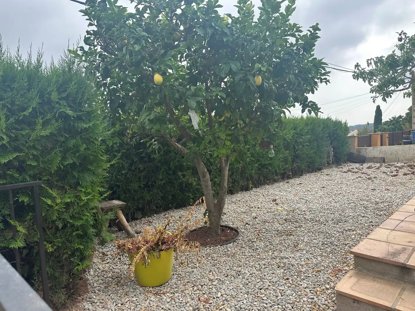 House for sale in Torre Vella - Torre Gran - Les Dunes, imagen 6