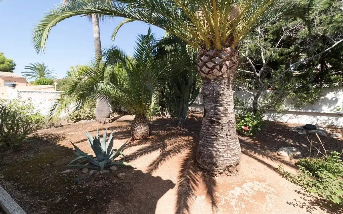 House with garden for sale in Moravit - Cap Blanc, imagen 22
