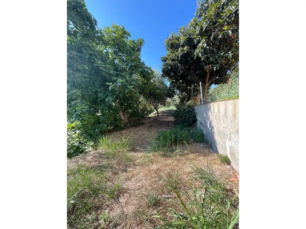 Houses for rent in Rubí