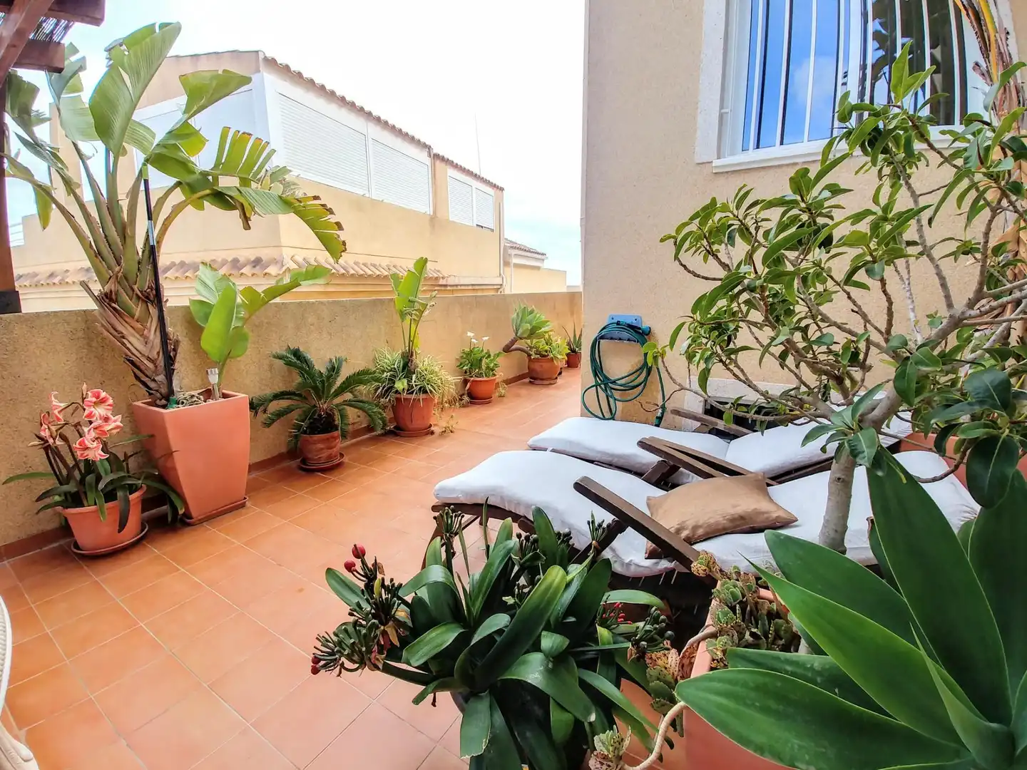 Casa o chalet de alquiler en Calas Santiago Bernabéu