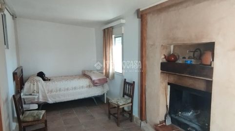 Foto 5 de Finca rústica en venta en Marchena, Sevilla