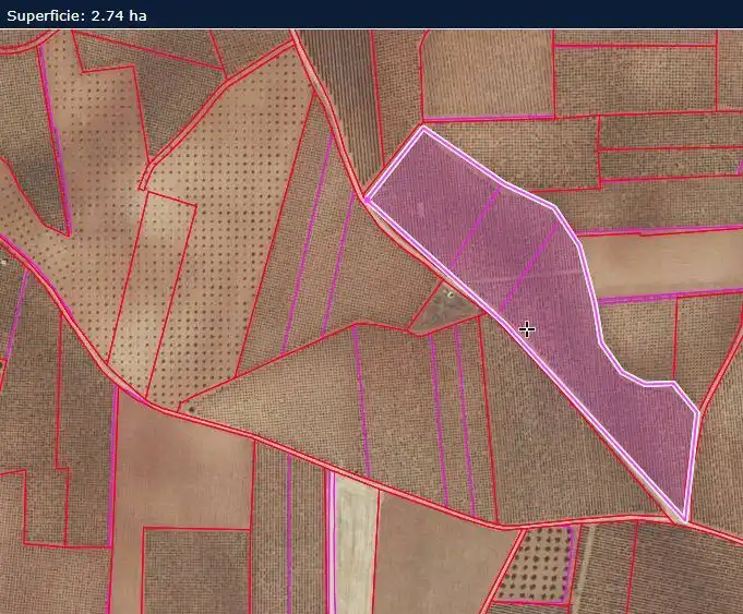 Rural land for sale in Valdepeñas, imagen 6