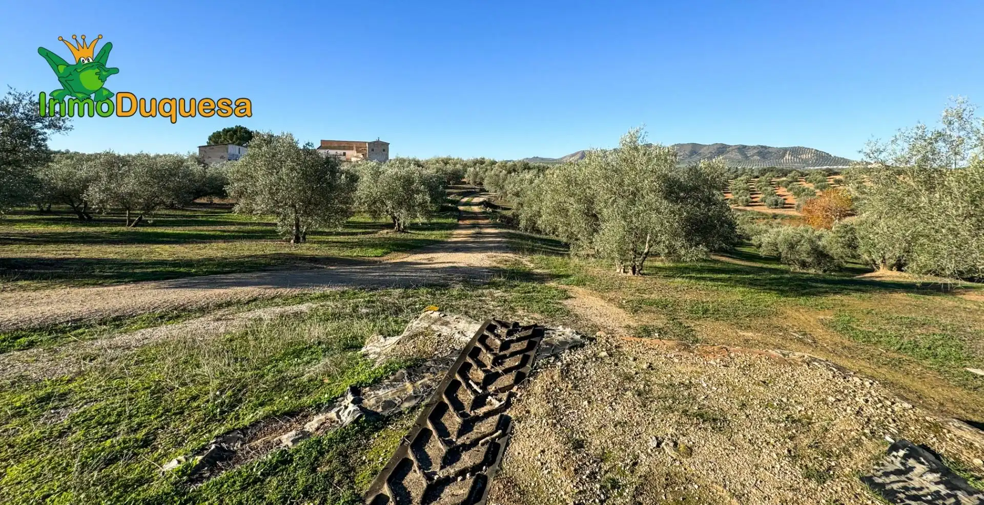 Casa rústica en venda a Camino Polígono 3 Parcela 51 MORA. LOJA (GRANADA) 3, imagen 22