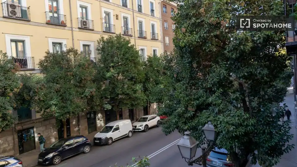 Appartamento con terrazza in affitto a Centro, imagen 9