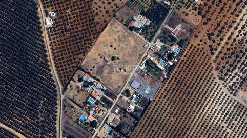 Photo 5 of Land for sale in Urb. el Saltillo, Pedanías Norte, Utrera
